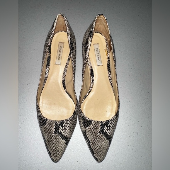 Cole Haan Snakeskin leather wedge pointed toe heels 5.5 office - Picture 2 of 13